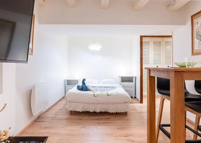 公寓 L'alcove Annecienne - Appt Proche Du D'annecy *